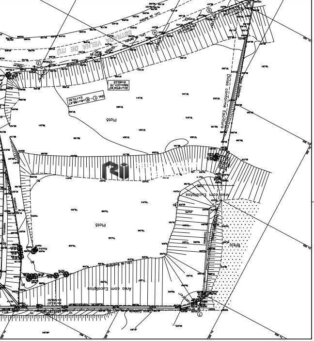 Prédio Inteiro à venda, 16000m² - Foto 7